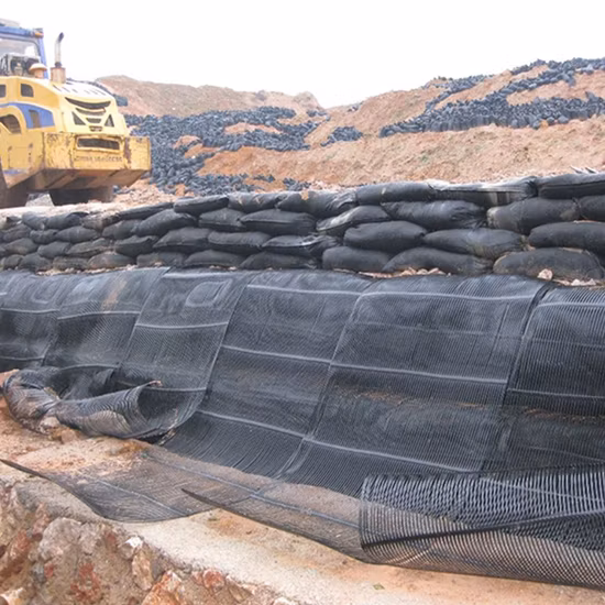 Plastic PP Geogrid Biaxial Geogrid for Road Railway Construction Reinforcement
