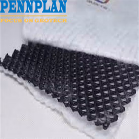 Geonet Drainage Composite