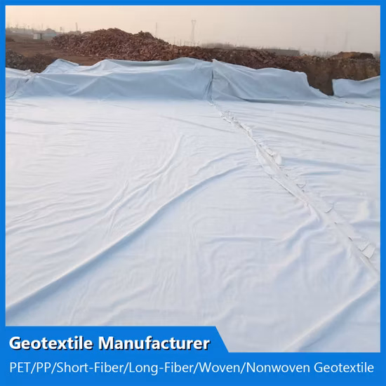 PP Pet Polyester/Polypropylene Long Filament Spunbonded/Short Staple Fiber Needle Punched Nonwoven Geotextile Fabric Waterproof Woven Geotextile Manufacturer
