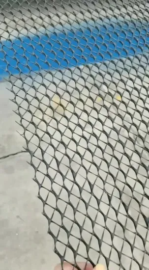 Roads & Railways Airports Project Woven Composite Geotextile Drainage Geonet with High Quality